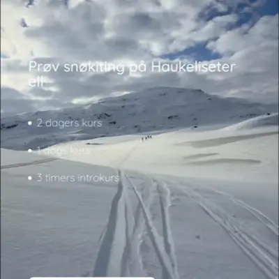 Snowkiting session